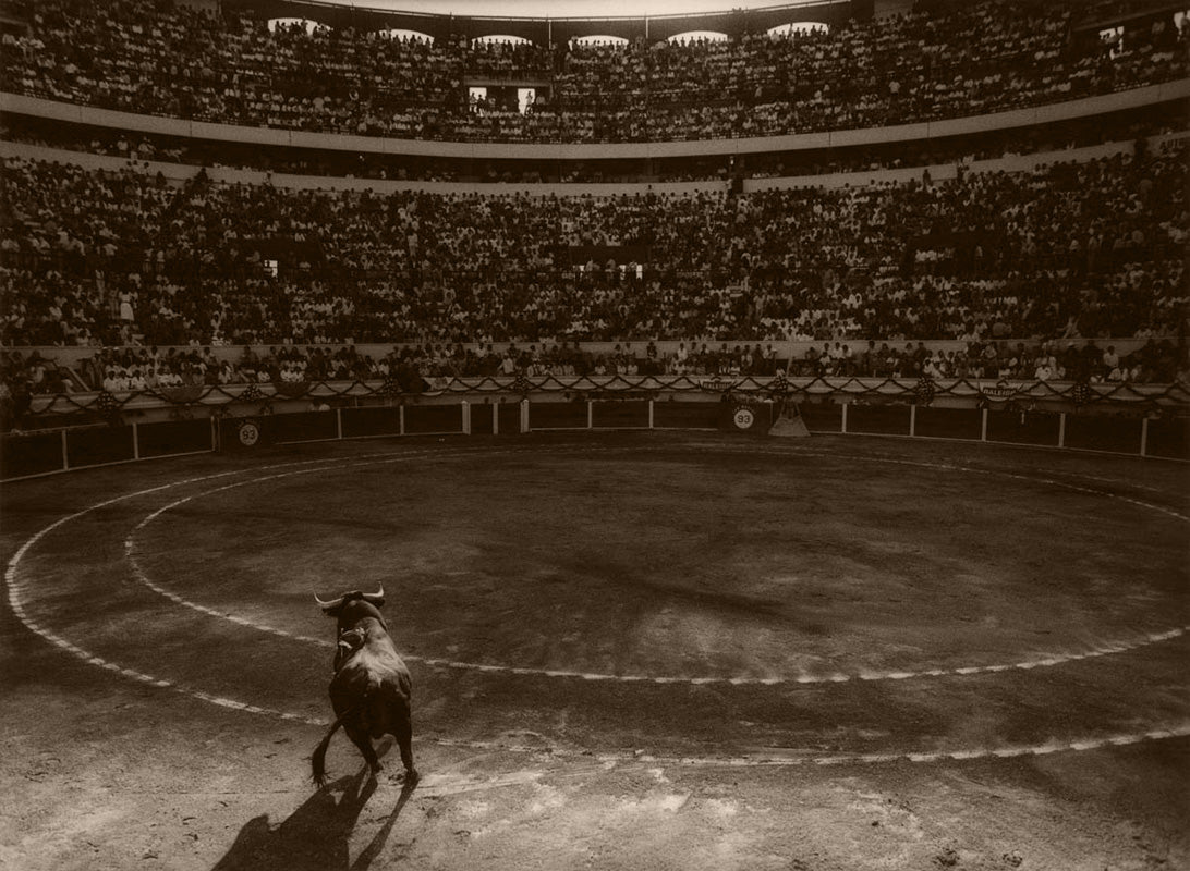 Los Toros